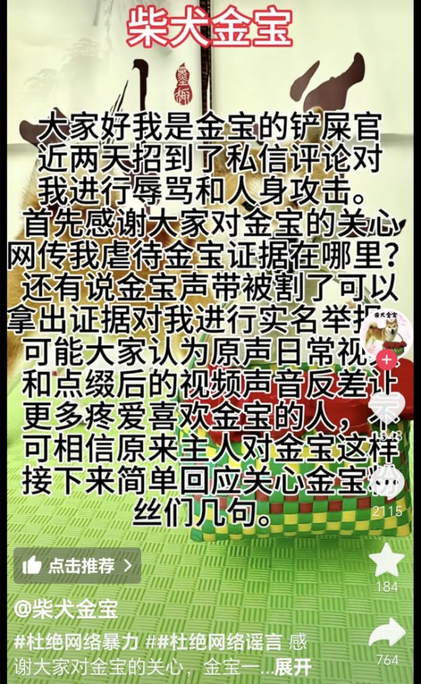 网红宠物博主被质疑虐狗