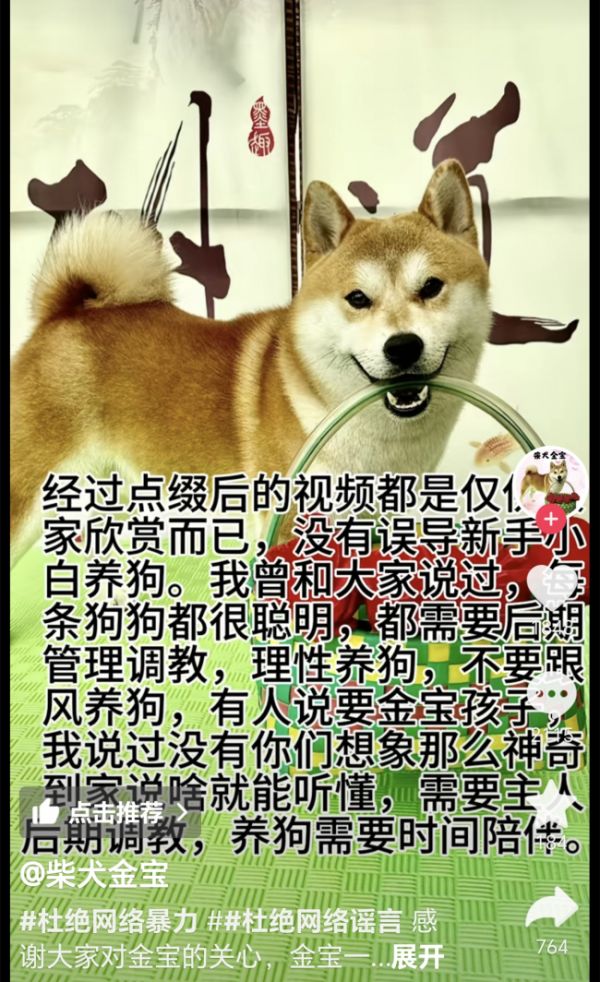 网红宠物博主被质疑虐狗 网友热议教育方式