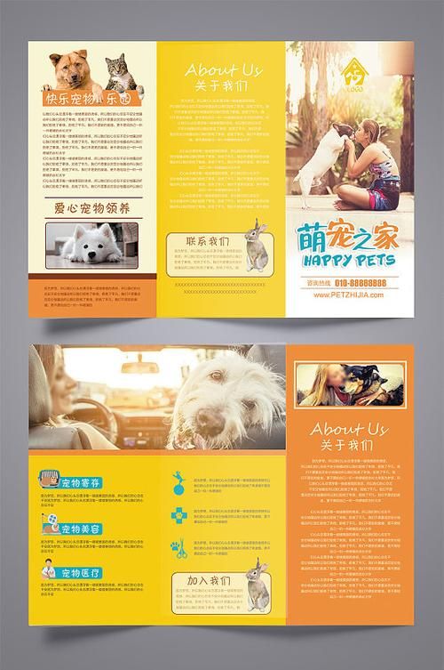 如何推广宠物