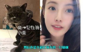 章小鱼的宠物vlog第一期来了~希望看到的大家关注起来，会持续更新的，让我们一起云养猫，云养狗
