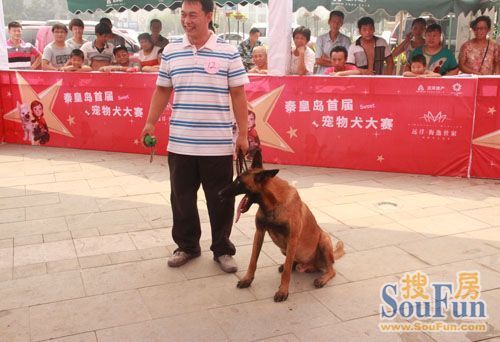 远洋•海逸世家杯首届宠物犬大赛初赛第三轮圆满结束