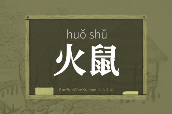 火鼠