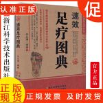 速效足疗图典/家庭速效自疗大全/朱文增编著/足部穴位按和