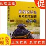 黄缘闭壳龟养殖技术图谱乌龟疾病诊断与治防爬行动物异宠诊疗