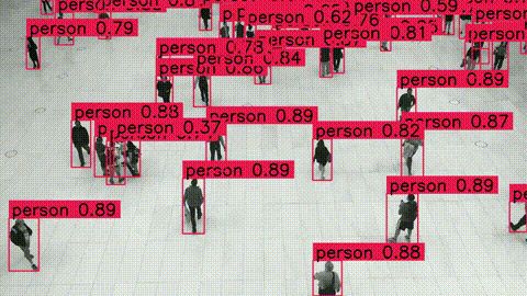 e074386d177379fc88877e8d1c513599.gif