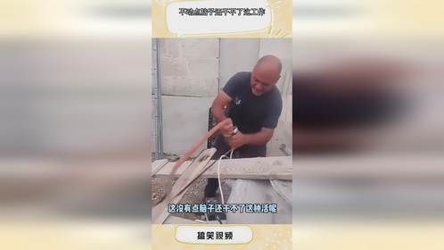 不动点脑子还干不了这工作