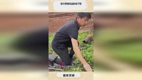 这个弄的有点多余了吧