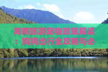 海南旅游宠物政策解读：狗狗出行全攻略与必备条件