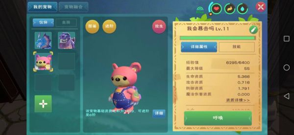 创造与魔法宠物项圈有什么用