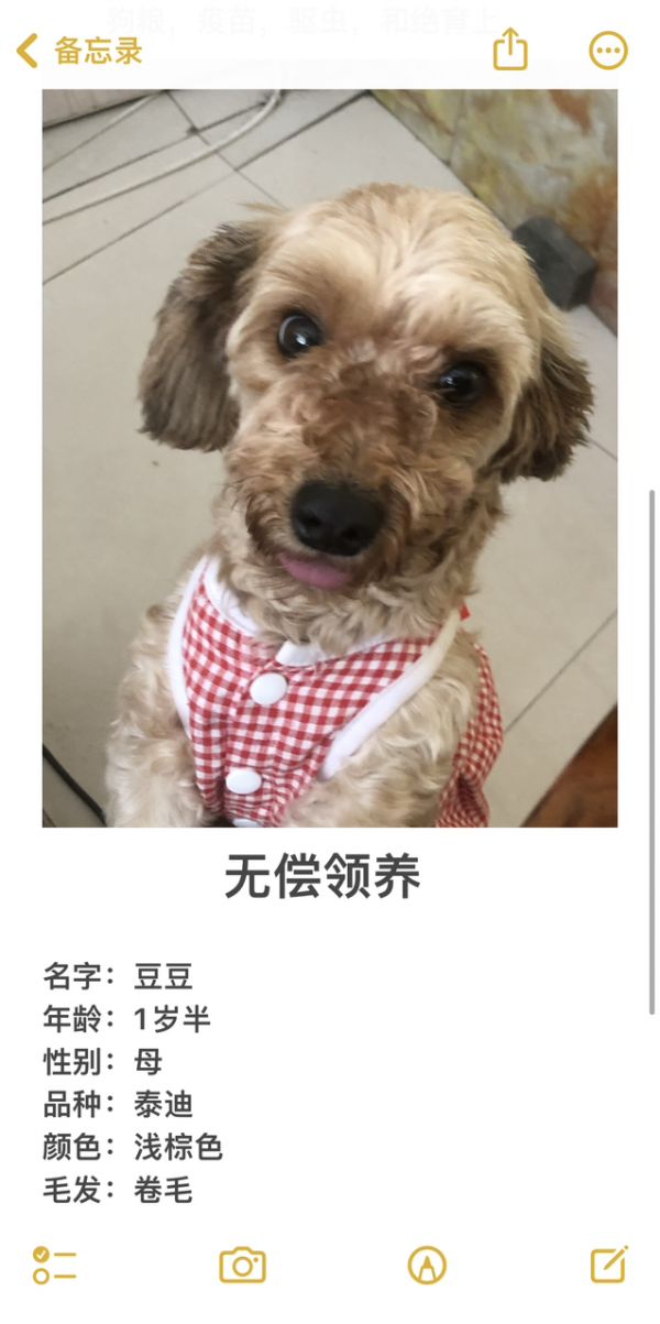 无偿领养