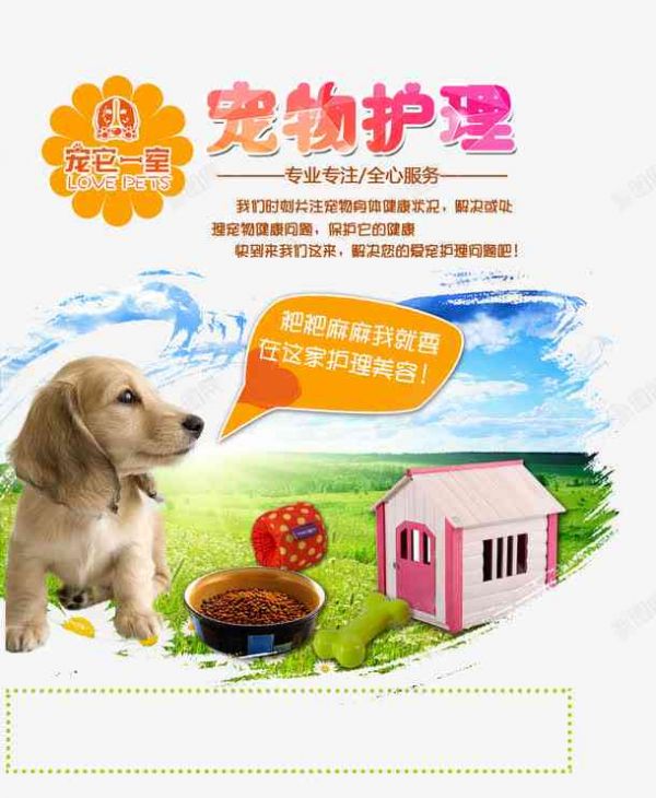 全方位萌宠素材库：涵宠物摄影、设计模板、创意素材一站式