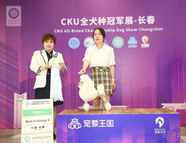 获奖合照