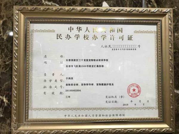 办学资质