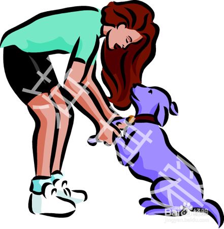 训练狗狗教程：如何训练狗狗和人握手