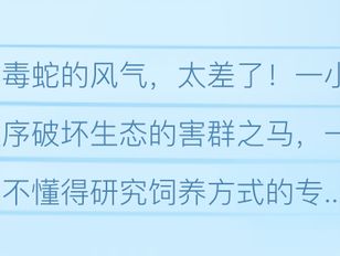 专栏