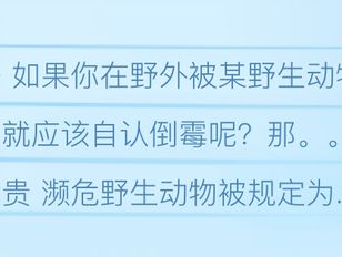 专栏
