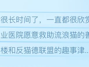 专栏