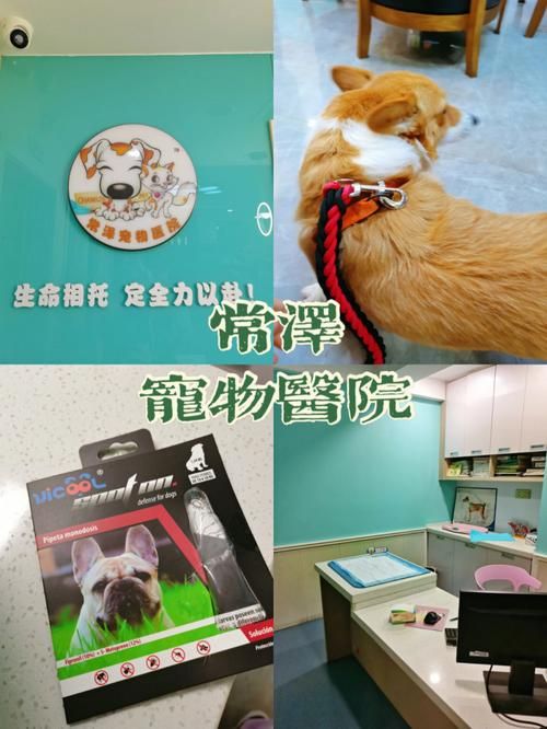 上饶宠物驱虫医院排名(上饶宠物驱虫医院排名前十)