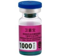 Ceva——专注于研发和销售用于动物健康的药品和疫苗