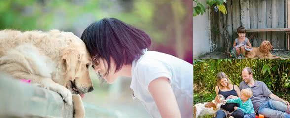 科学研究:从小养狗能够降低精神疾病,每一只狗狗都是治愈天使