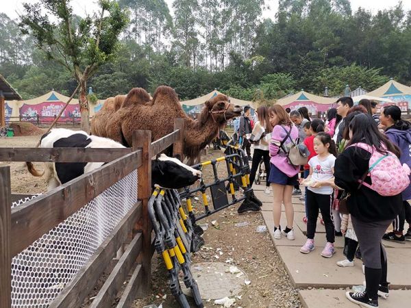 贝塔萌宠乐园图