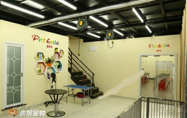 武汉贵族宠物美容培训学校 学校环境