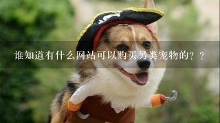 谁知道有什么网站可以购买另类宠物的？？