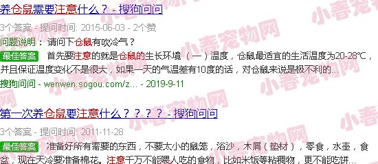 养小仓鼠的注意事项