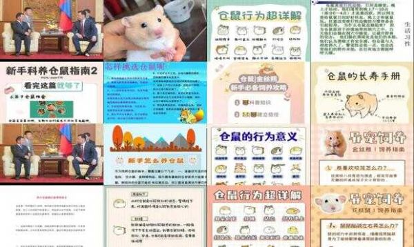 养小仓鼠的注意事项