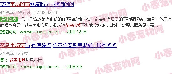 花鸟市场买的猫靠谱吗