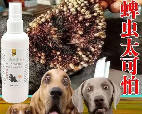 50天小狗的驱虫日记（宠物健康重要性的探讨）