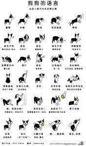 狗狗的语言，你懂吗？