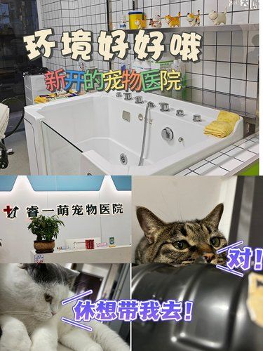 殷高路终于有新开的宠物医院了！！！