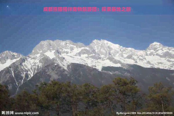 成都熊猫相伴宠物旅游团：探索基地之旅
