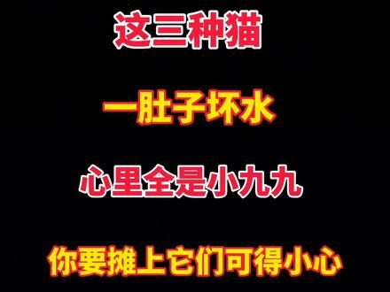 这三种猫，一肚子坏水，心里全是小九九，摊上它们可得小心点！#猫咪的迷惑行为 #萌宠出道计划 #萌宠日常记录 #喵星人 #猫咪能有什么坏心思呢