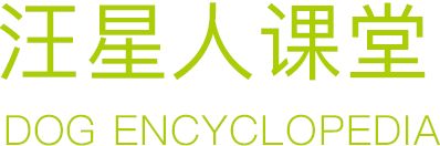 汪星人