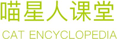 喵星人
