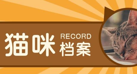 萌宠账号简介怎么写