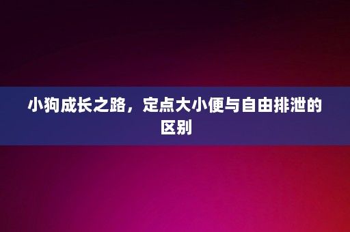 小狗成长之路，定点大小便与自由排泄的区别-第1张图片-一起学知识网