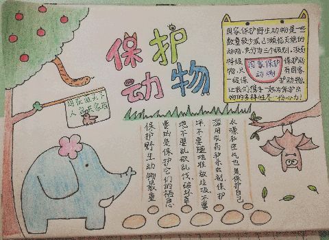 保护动物手抄报图片保护野生动物手抄报简单好画保护野生动物人人有责