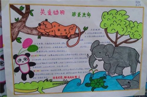 动物世界手抄报中学生小学生动物世界手抄报