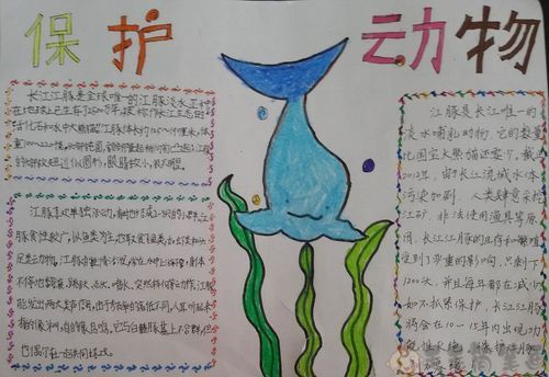 保护野生动物少儿手抄报保护动物手抄报