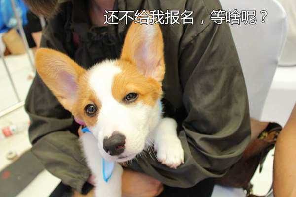 微信图片_20171219153456_副本.jpg