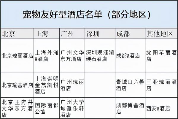 宠物友好型酒店：带着你的宠物一起去旅行吧