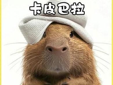 佛系青年，卡皮巴拉，其实人家不是傻，是情绪稳定。#卡皮巴拉 #水豚 #卡皮巴拉是一种生活态度
