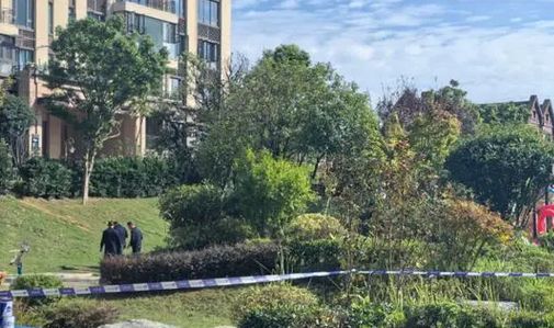 小区多只宠物狗集体中毒死亡？