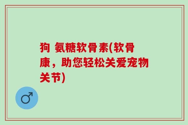 狗 氨糖软骨素(软骨康，助您轻松关爱宠物关节)