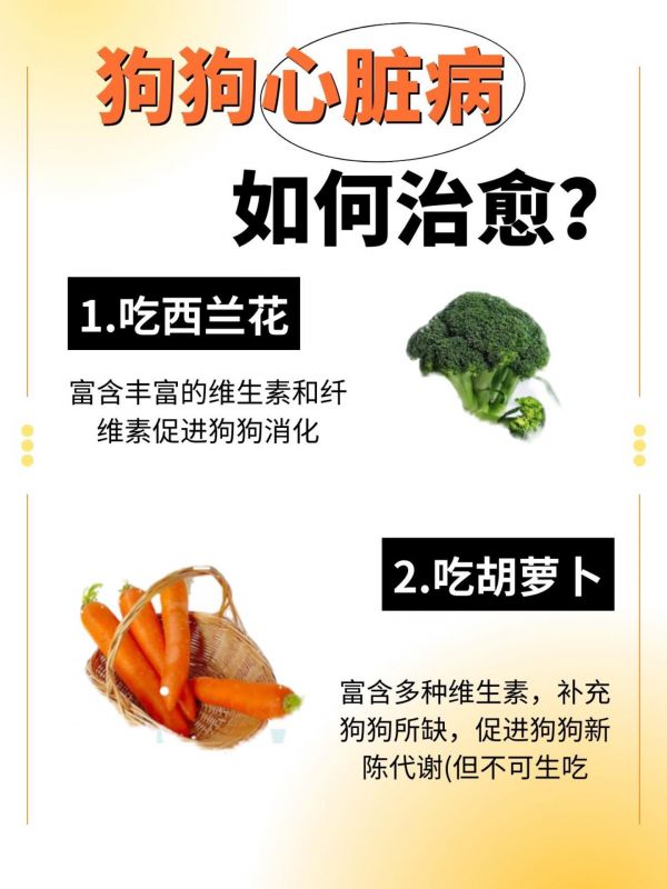 远离狗狗心脏病吃这些就行了！ #狗狗心脏病#狗狗心脏吃什么#狗狗心脏肥大#狗狗心脏病吃什么药