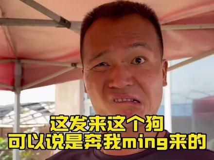 三大护卫#潘宏爱玩狗 #潘宏