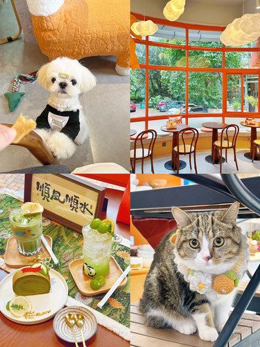 PET CLUB撸狗的快乐谁懂啊啊啊啊
